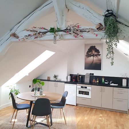Quietude Au Bord De Loire. Apartamento Orléans Exterior foto